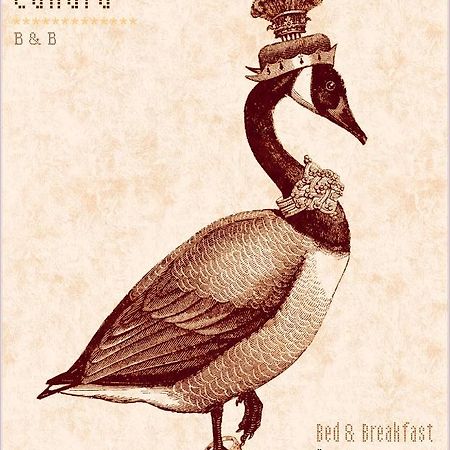 Madame Canard Μπαβένο Εξωτερικό φωτογραφία